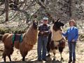llama trek